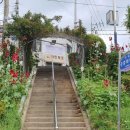 온천천시민공원 수국 이미지