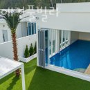 쉬오트애견풀빌라 이미지