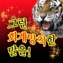 현대장어