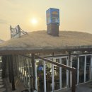 꽃담수제버거 성산 | 제주맛집: 성산일출봉 앞 흑돼지버거가 맛있는 꽃담수제버거 성산 방문후기(+메뉴 추천, 주차)