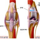 연두동물병원 이미지