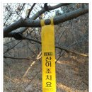 백두주유소