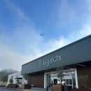 중앙식자재마트 | 샌프란시스코 인근 댈리시티에 75,000ft² 초대형 한인 식자재 마트 ‘자갈치’ 방문 후기