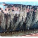 마린슈퍼 이미지