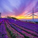 9월20일(일) 거창(감악산*아스타국화축제) * 함양(선비문화*화림동계곡) 안내 이미지