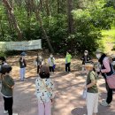 🌳하랑반의 숲 해설사와 함께하는 편백나무 숲 견학🌳 이미지