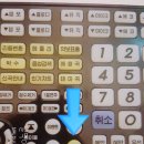 악쓰는 하마 코인 노래연습장 이미지