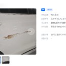 성지자동차공업사 이미지