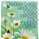강북로 이미지