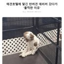 도서출판위