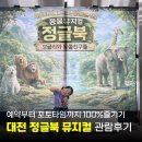정글북 | 주말 아이와 함께 대전 정글북 뮤지컬 관람 후기｜아이와 볼만한 공연