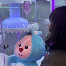 철이네문구 | 11월 일상_두 번째 :: 해피엔딩은 나의 것