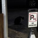 오,에스,티 이미지