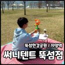 뚝섬텐트대여 한강공원돗자리 유원지 자양역 근처 써니텐트