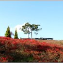 아기새어린이집 이미지