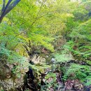 관음사 가는길 이미지