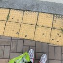 크린타임