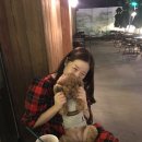 베베랑스 이미지