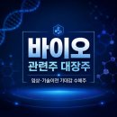 디앤디솔루션 | 바이오 관련주 대장주 TOP 10 | 임상·기술이전 기대감 수혜주