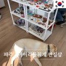 햇살맛고을 | 헤이리마을 소품샵 마이리틀휘게 편집샵 가볼만한곳 추천