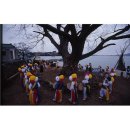 완도 장좌리 당제 및 당굿 이미지