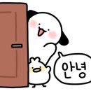 우리들부동산공인중개사사무소 이미지