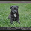 모원재 | 모원재 방문 후기: 천국 같은 자연 속 힐링 여행