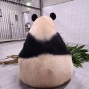 팬더스팀세차 | 가을과 겨울이야기