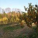 청전농장 이미지