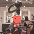 백병원 맞은편 | 볼륨매직은 노원 중계동 미용실 네이처헤어 상계백병원점에서