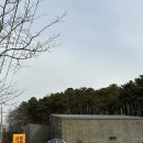 스테이사암 이미지