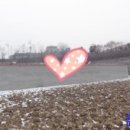 팔도공인중개사사무소 이미지