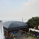 금양이(금쪽 같은 내 고양이) | 26년 3월 제주도 여행 (낭만 있는 제주달 애월해안도로 본점, 29주 임산부)