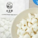 소소담