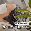 ㈜씨티착한에너지 | 일산 식사동 헤드스파 두피마사지 잘하는곳 컬러드스파 일산식사점 후기