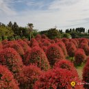 송하농장 이미지