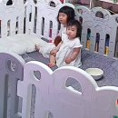 블링펫살롱 이미지