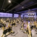 스파리스 이미지