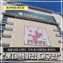 쁘렝땅롯데백화점 - 안양시 동안구 시민대로 180 | 롯데백화점 대구점 층별 안내 및 이용정보 총정리