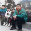 보현보민