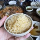 팔백스물두 번째 일상(천안 원성동 맛집, 인정받은불낙지)