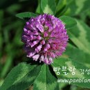 오늘의그릇