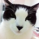 떼굴떼굴 이미지