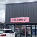 프라독 쿡 | [성주] 애견 수제간식카페 "프라독 쿡"