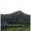 자연오리 이미지