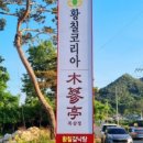 대박황칠코리아 이미지