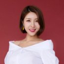 진달래 헤럴드경제