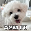 직거래야채 | 분당 미금 포장 횟집 ‘직거래회포장’ 후기 / 횟집 추천 / 내돈내산