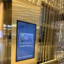 스카이 P.P 이미지