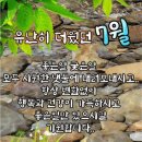 연꽃 7월말 8월초 이미지 농사정보 이미지
